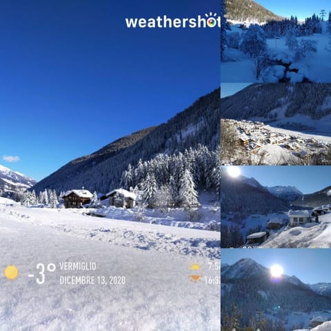 Appartamenti Presanella Apartment in Province of Brescia