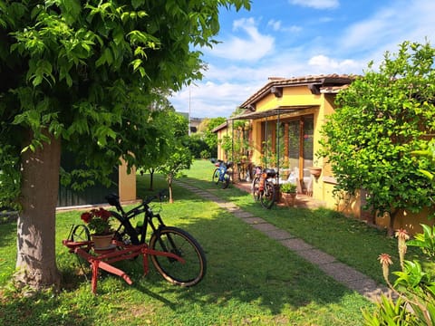 B&B La corte di Stelio Bed and Breakfast in Pisa