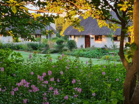 Property building, Garden view