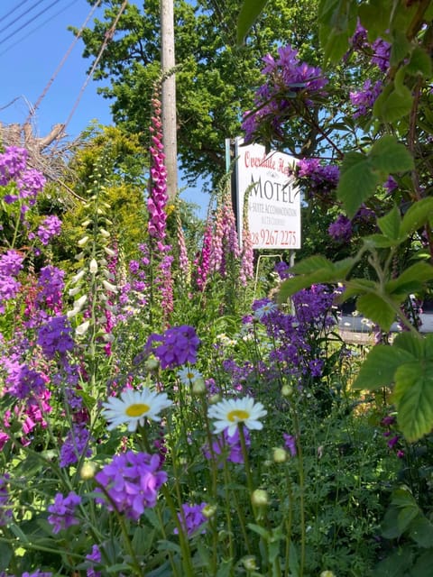 Overdale Motel Motel in Lisburn