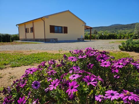 Agriturismo Fusini Farm Stay in Tuscany