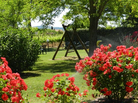 Agriturismo Fusini Farm Stay in Tuscany