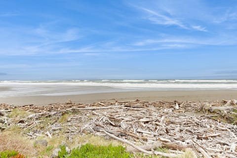 Ocean Lover's Landing Apartment in Gold Beach