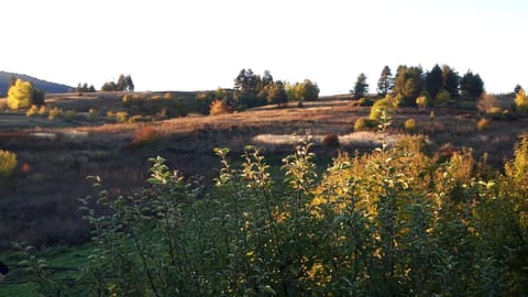 House Malkoc Apartment in Lika-Senj County