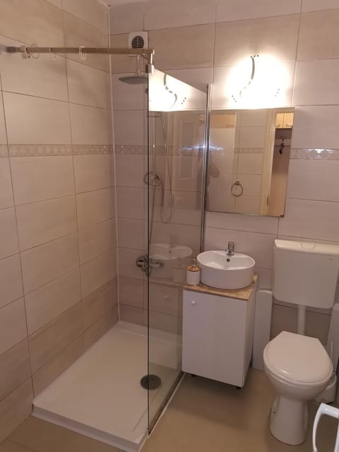 Try the Central Feeling Apartment in Timisoara