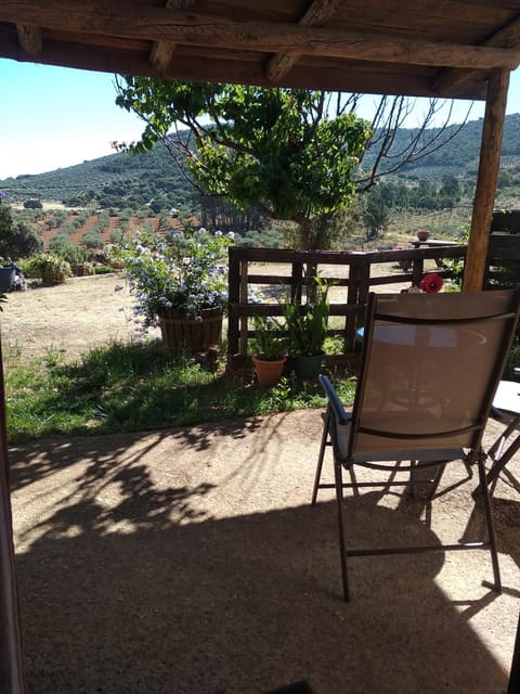 View (from property/room)