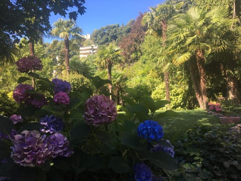 Garden, View (from property/room), Decorative detail, Garden view