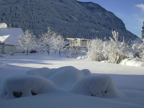 Winter, Garden view, Mountain view