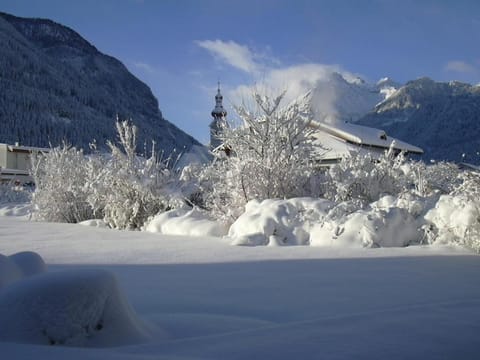 Winter, Garden view, Mountain view