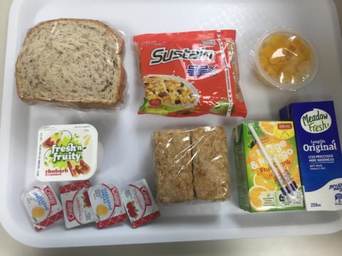 Three Palms Lodge Nature lodge in Auckland