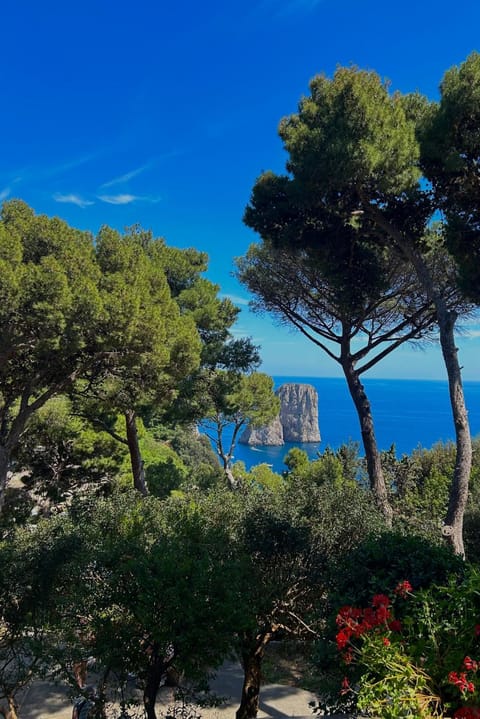 Nearby landmark, Natural landscape, Sea view