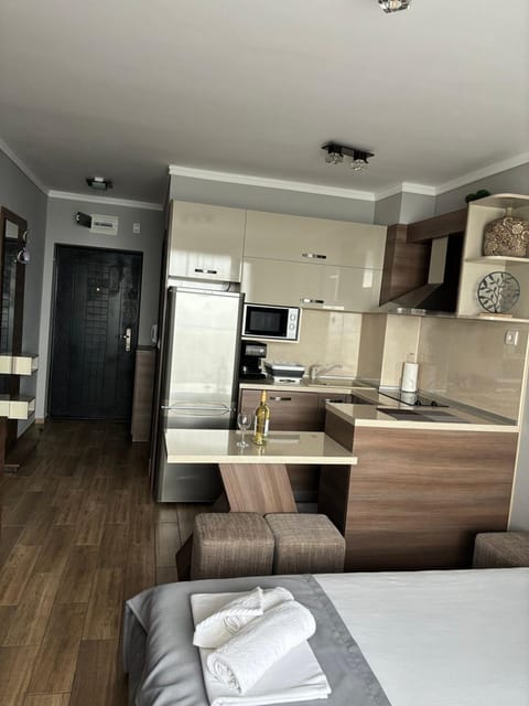 Bed, Kitchen or kitchenette, Photo of the whole room, Dining area, Bedroom, oven, stove