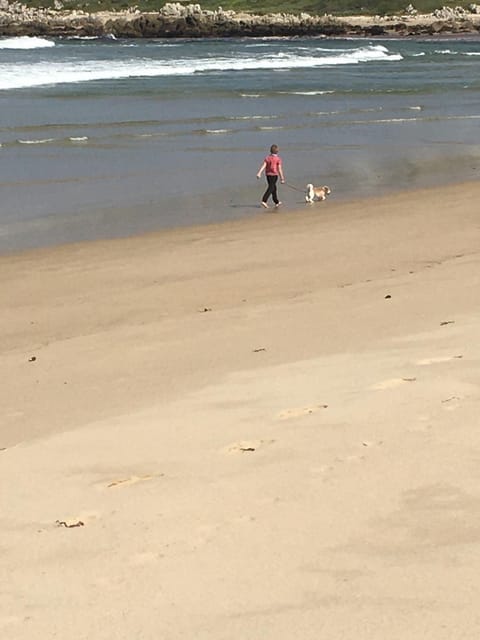 Beach Cottage Campground/ 
RV Resort in Western Cape