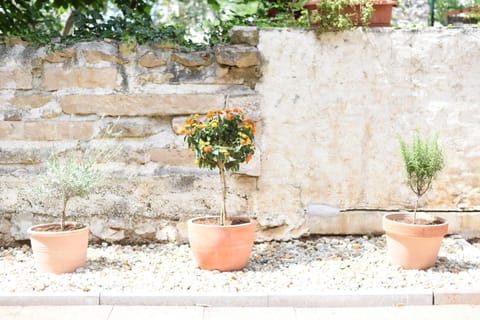 Apartment Oasi Apartment in Zadar