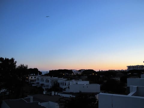 Spring, Sea view, Sunset