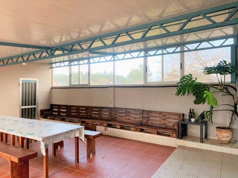 Patio, Balcony/Terrace, Living room, Dining area