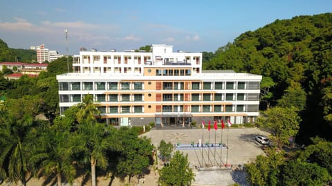 Property building, Day, Bird's eye view