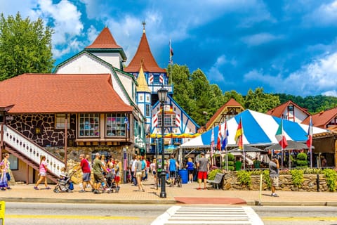 Artisan Hideaway House in White County