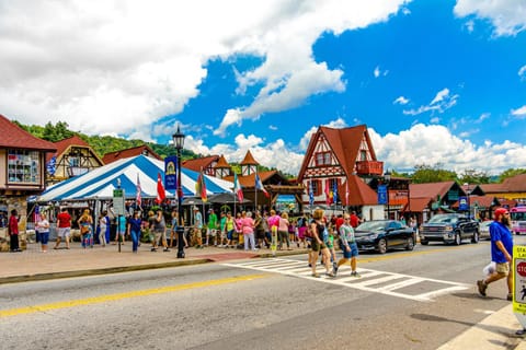 Artisan Hideaway House in White County