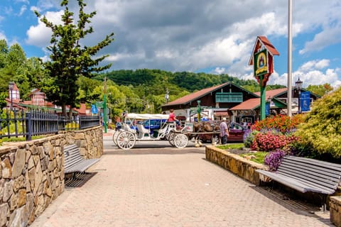 Artisan Hideaway House in White County