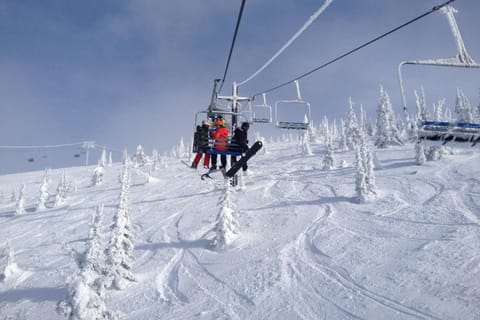 Fox Hollow Home House in Whitefish