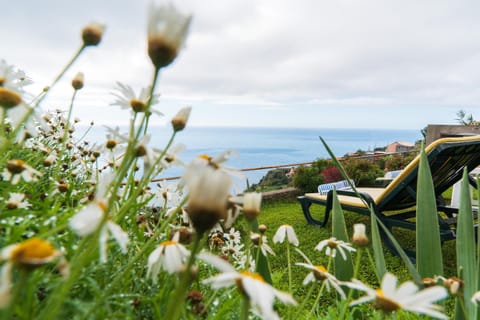 Garden, Sea view