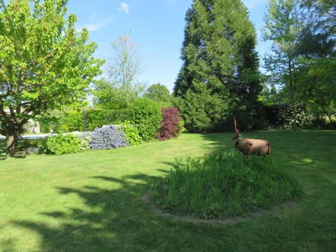 Day, Other, Garden view