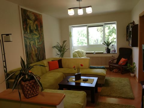 Living room, River view