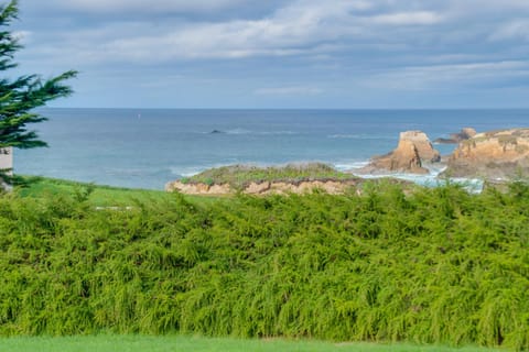 Dream Scape House in Mendocino County