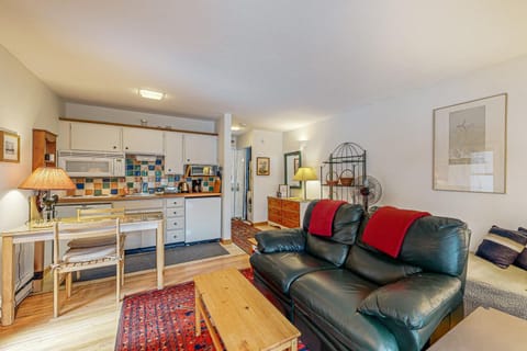 Snow Run Studio Hotel in Ketchum