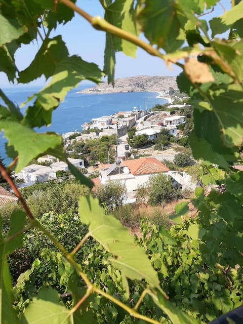 Valentina Rooms Bed and Breakfast in Vlorë County, Albania