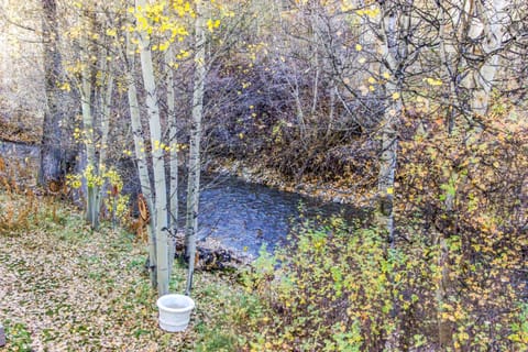 Bridgepoint Condo on Trail Creek Apartment in Ketchum