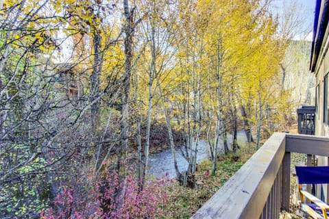 Bridgepoint Condo on Trail Creek Apartment in Ketchum