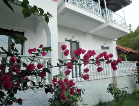 Facade/entrance, Garden
