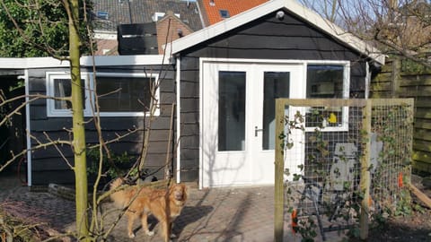 Garden, Animals, Pets