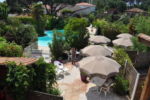 Patio, Garden, Garden view, Swimming pool