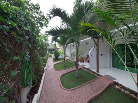 Property building, Garden, Garden view