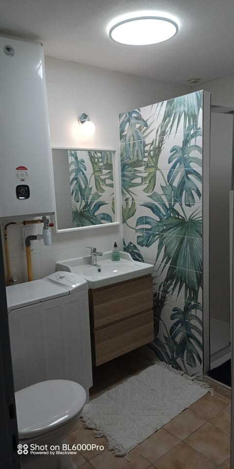 Caroline Apartment in Oyonnax