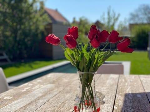 Patio, Garden, Balcony/Terrace