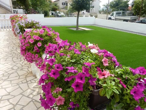 Garden view, Area and facilities