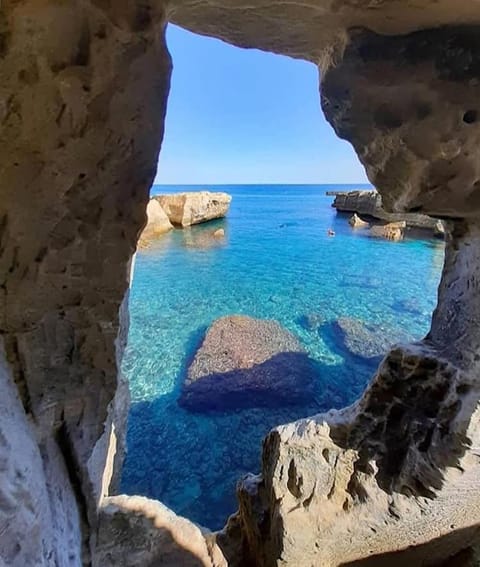 Natural landscape