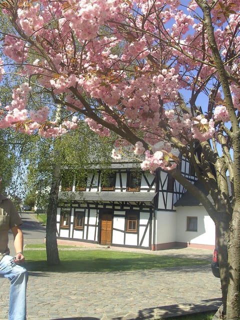 Ferienhaus Schmitt House in Rhein-Hunsrück-Kreis