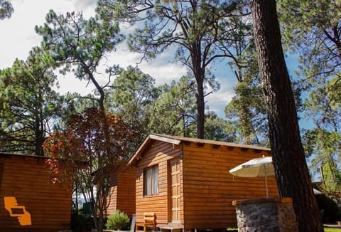 Cabañas Monte Alto Hotel Boutique Hotel in Valle de Bravo