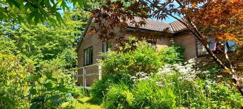 Dilkara Apartment Glastonbury Apartment in Glastonbury