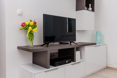 Old Town Summer Apartment Apartment in Kotor