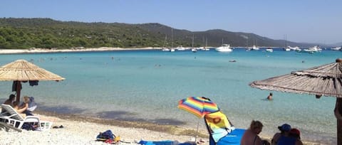 Apartments Lyra Apartment in Zadar