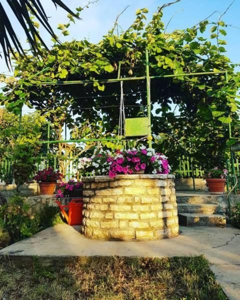 Apartments Lyra Apartment in Zadar