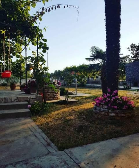 Apartments Lyra Apartment in Zadar