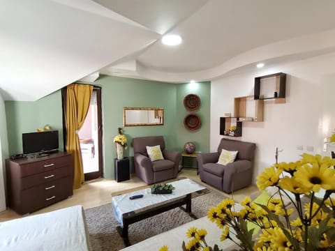 Apartment Stasha with free access to gym Apartment in North Macedonia
