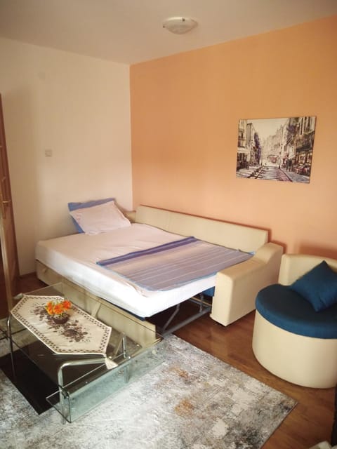 Apartman Ozi Apartment in Budva Municipality